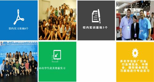 專業解讀 英語語言文化學院翻譯專業的核心價值與翻譯服務的社會角色